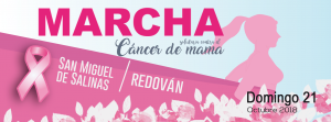 Marcha solidaria contra el cáncer de mama