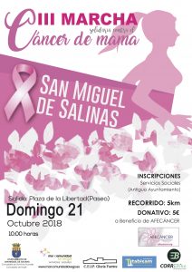 Cartel marcha solidaria cáncer de mama