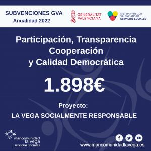 Subvención participación GVA