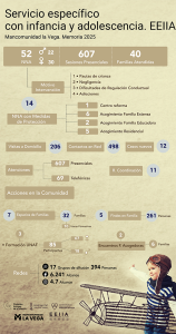 Infografía EEIIA